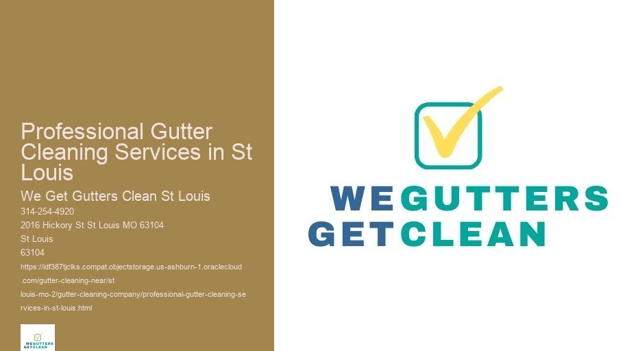 Professional Gutter Cleaning Services in St Louis